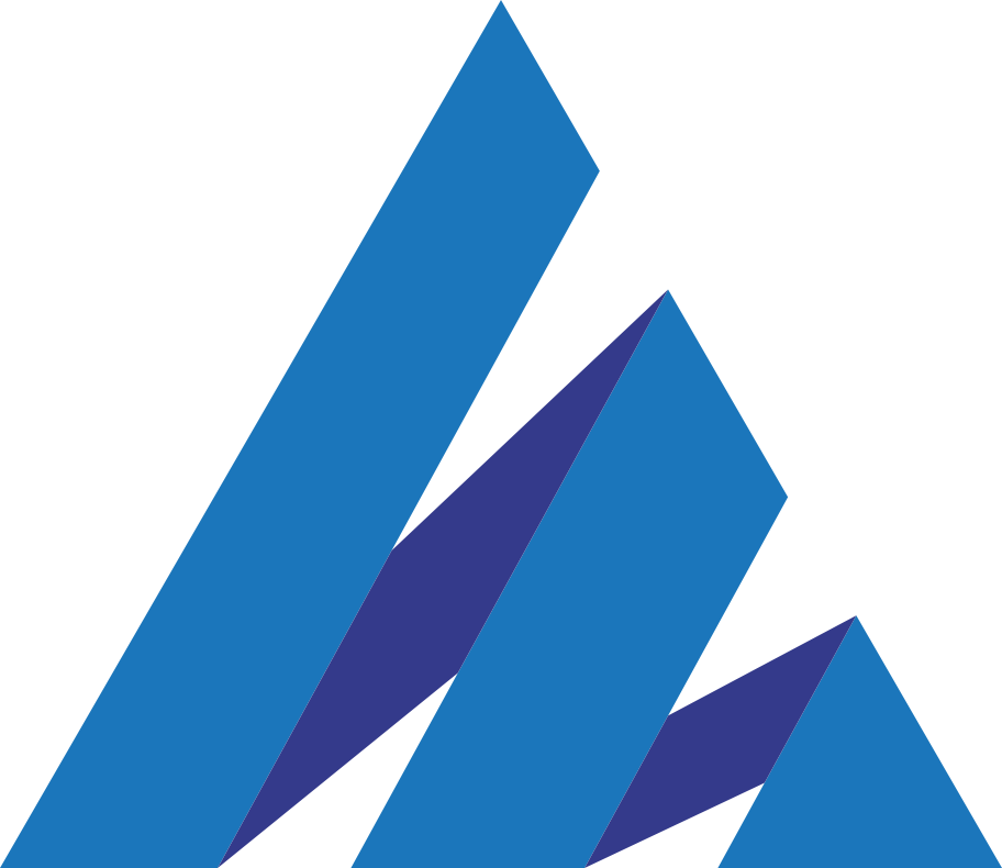 Shah Consultancy Logo